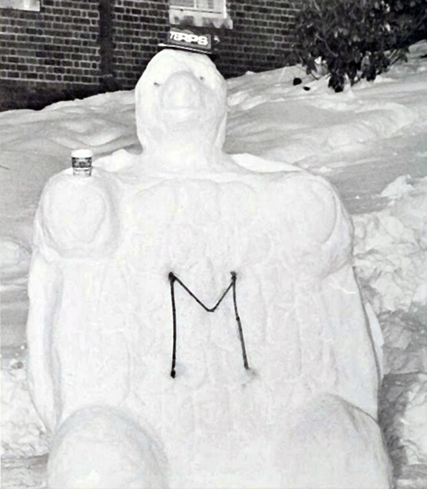 1983 Blizzard