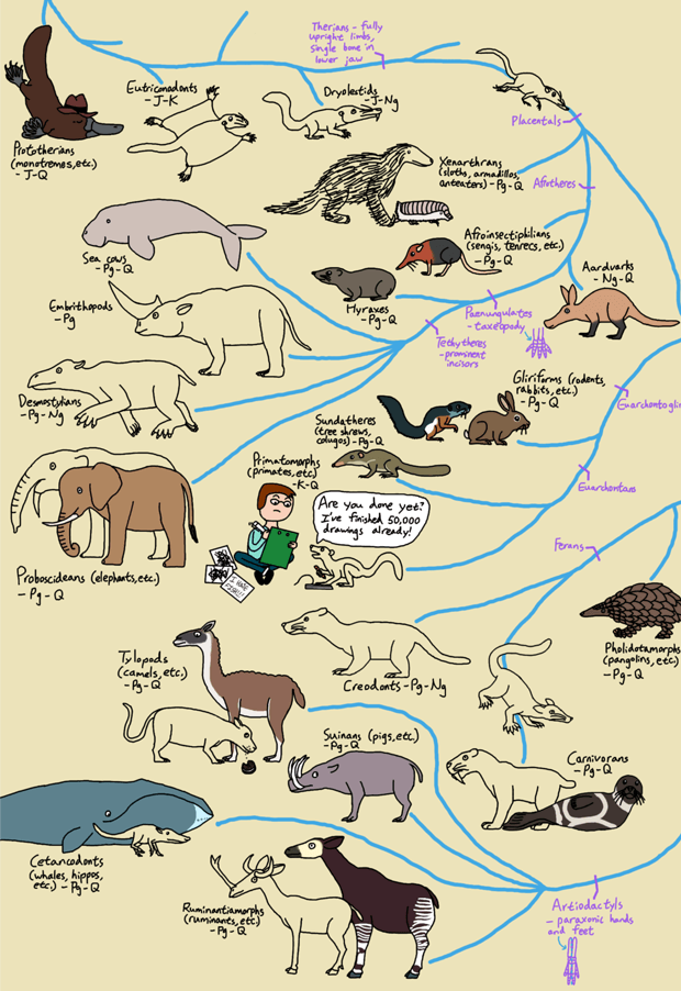Mammal Family