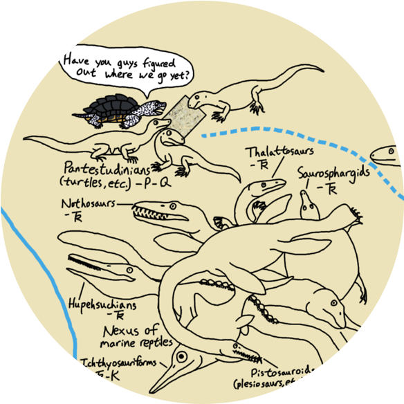 Diapsid Conundrums