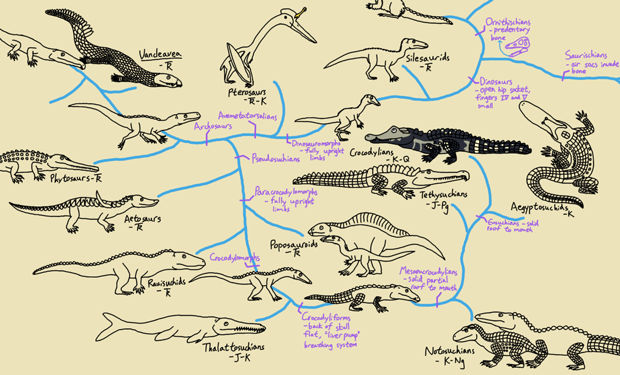 Crocs, Then and Now