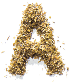 "A"