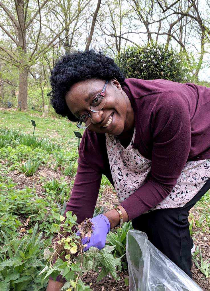 Diana Obanda collects nettles at Green Farmacy.