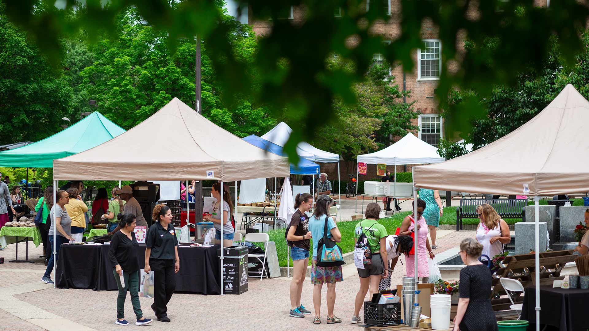 Farmers’ Market at University of Maryland