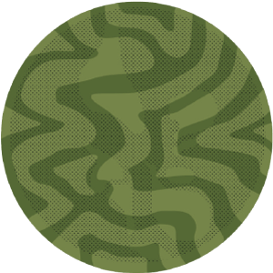 Planet 2