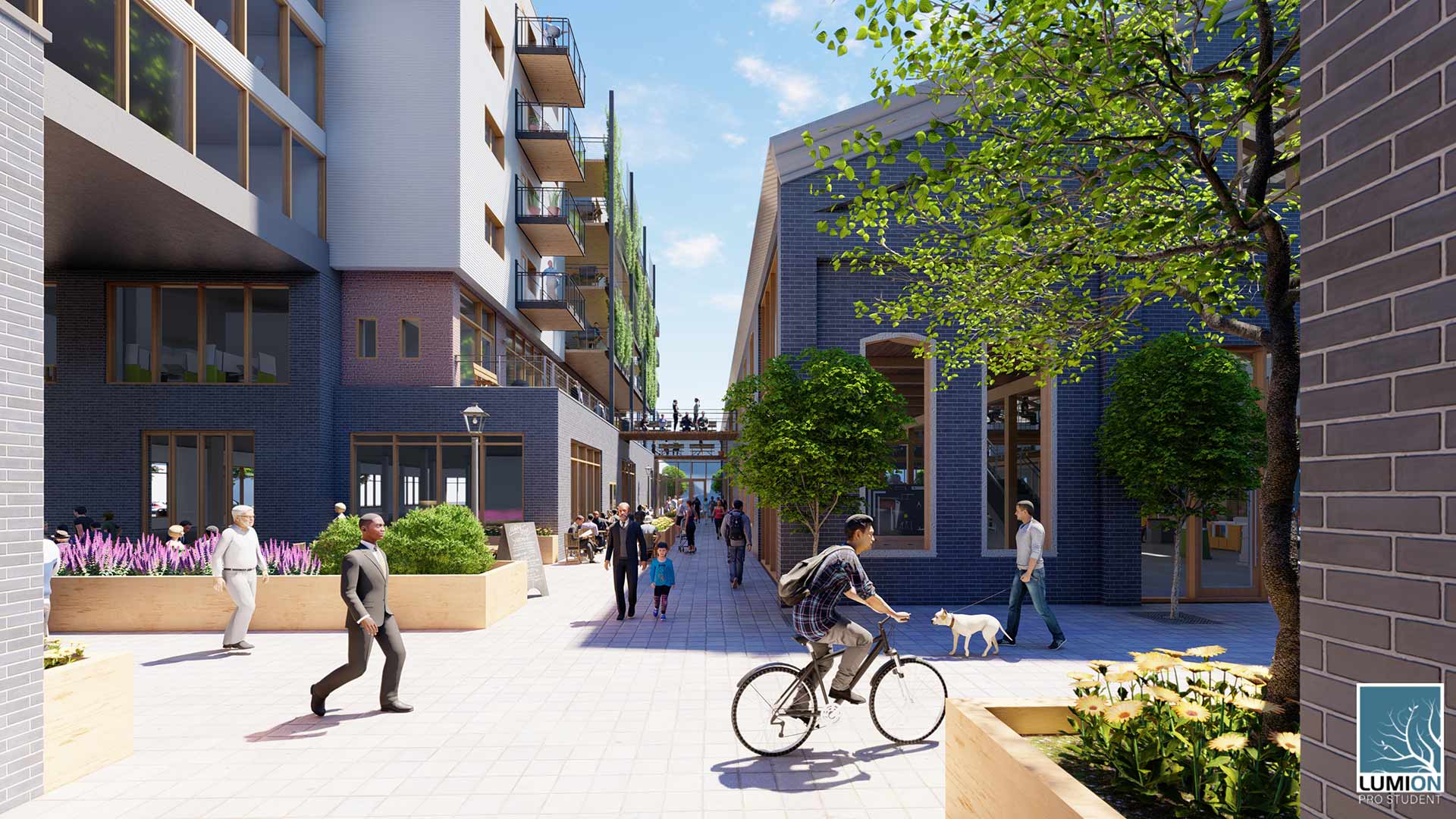 Cassandra Huntington project rendering