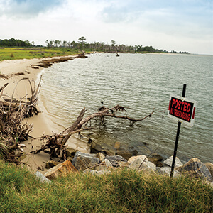 Shoreline