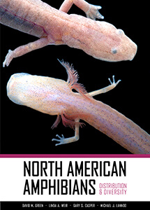 North American Amphibians