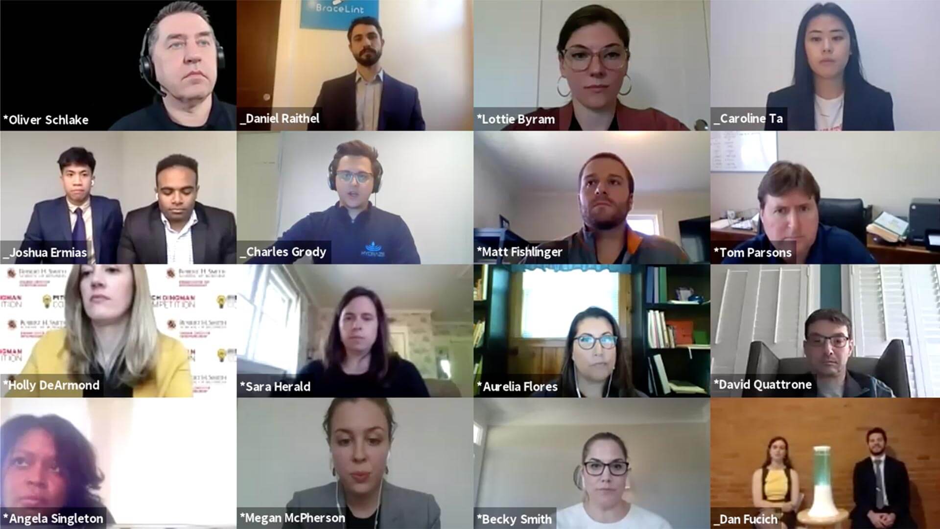 Screengrab of Zoom meeting