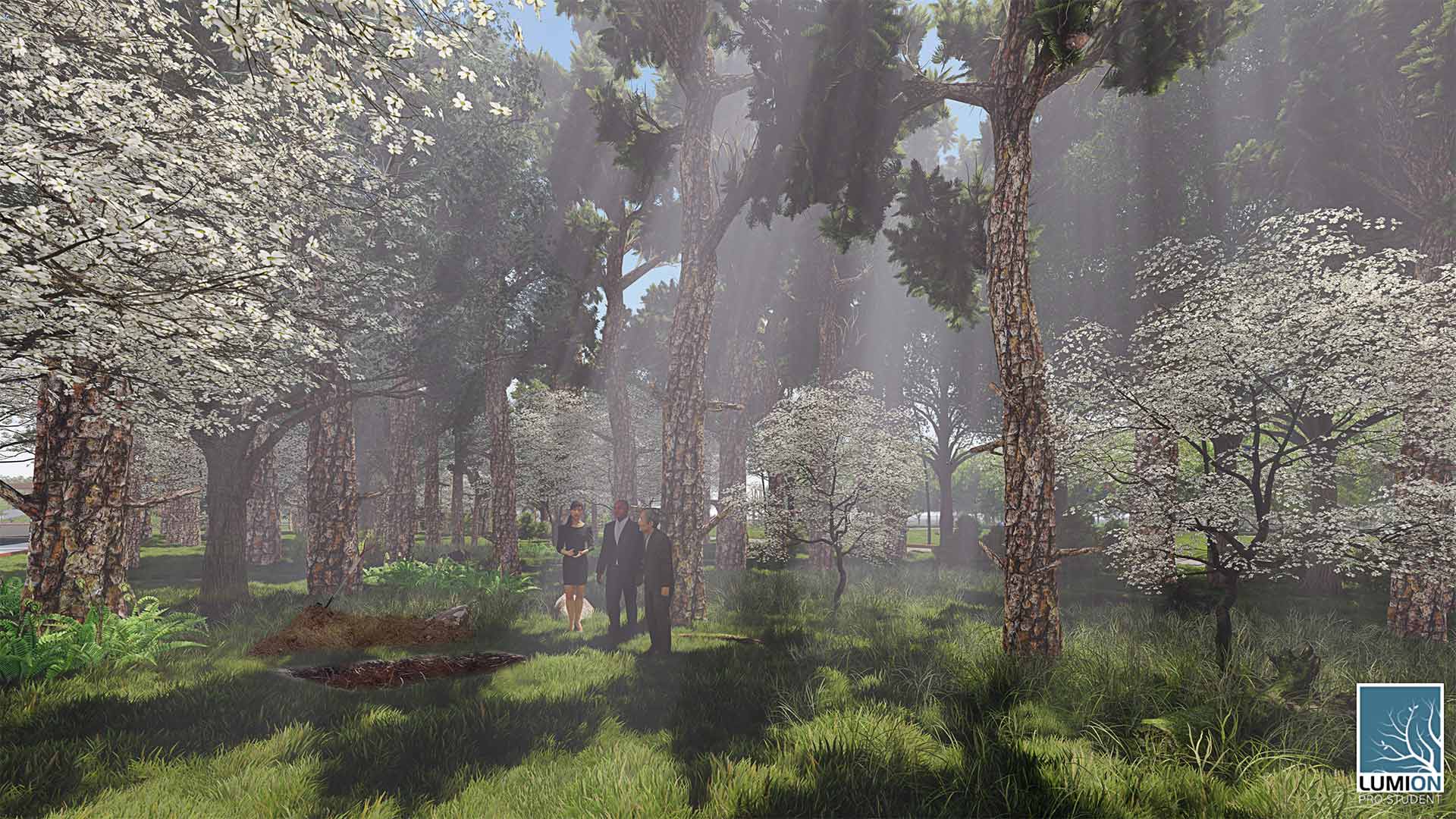 Rendering of James Jesmer project