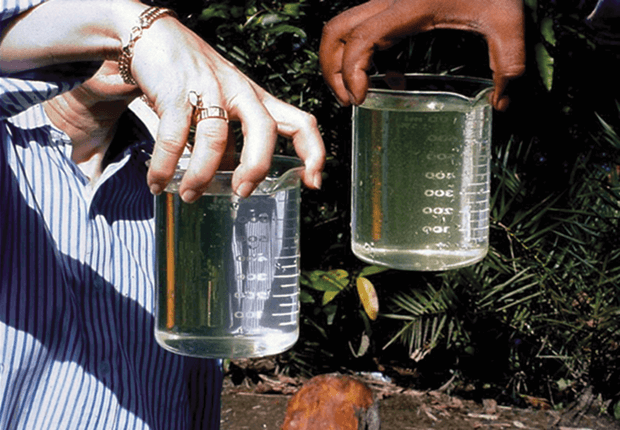 Water Comparison