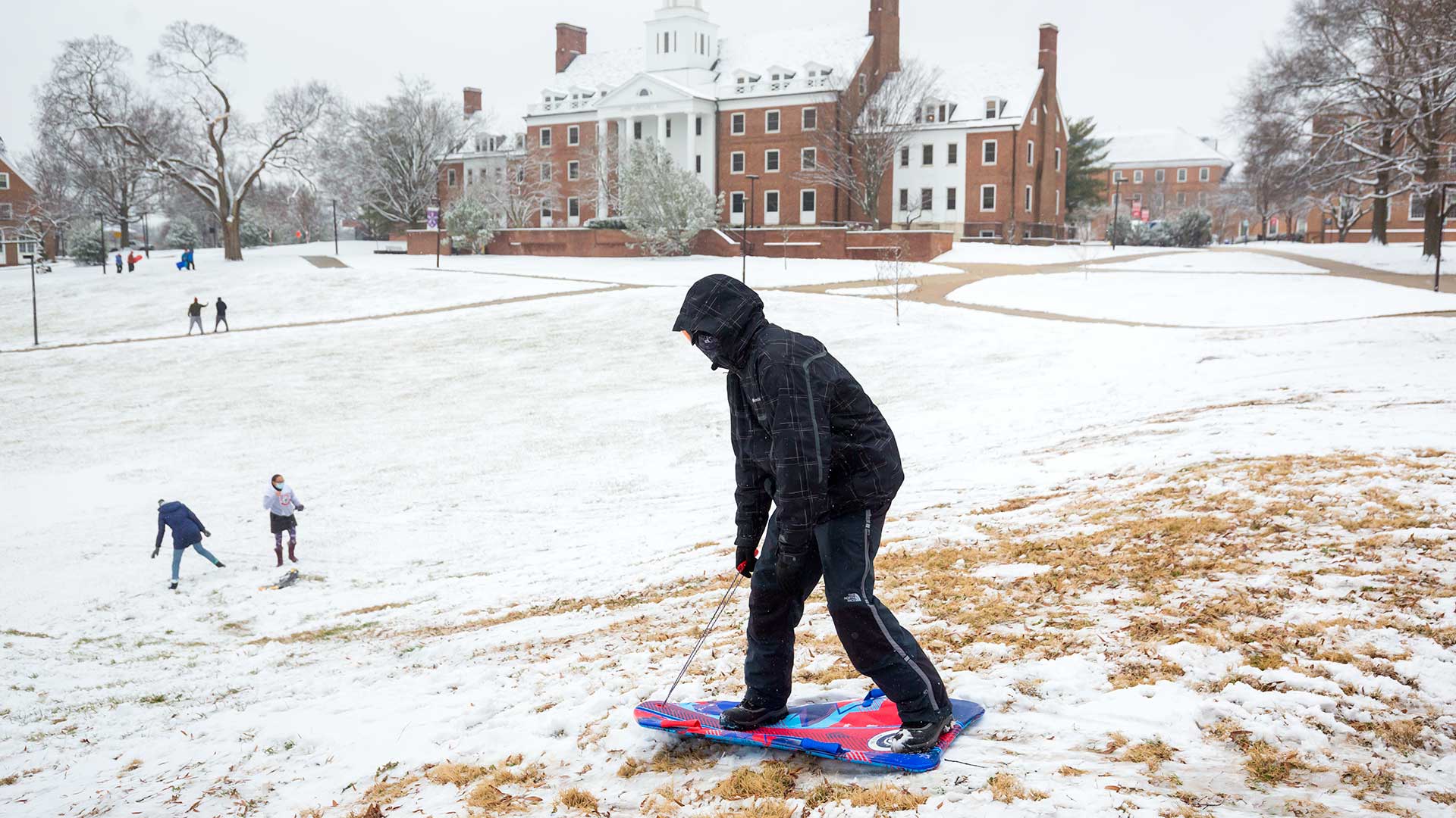 Sledding down hill on McKeldin Mall