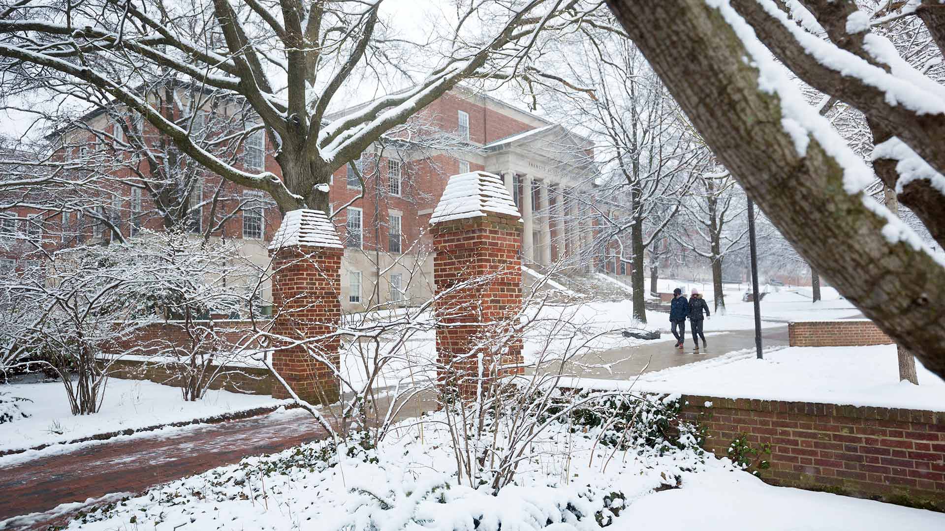 Snow on Willow Walk