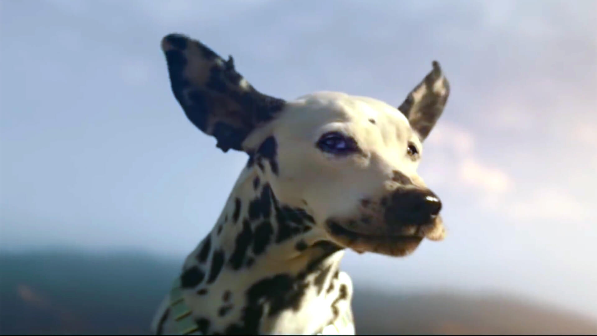 Budweiser Super Bowl ad