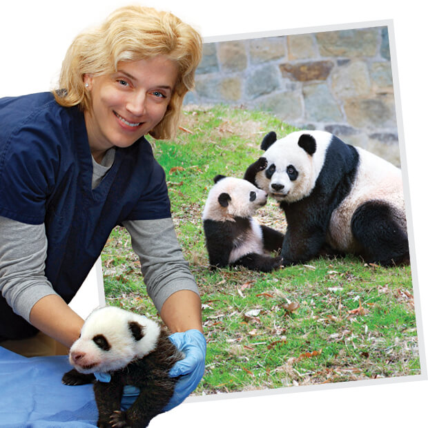 Smith with Bao Bao