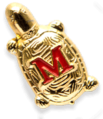 Pin