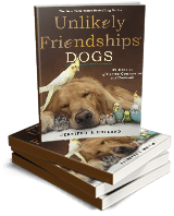 Unlikely book