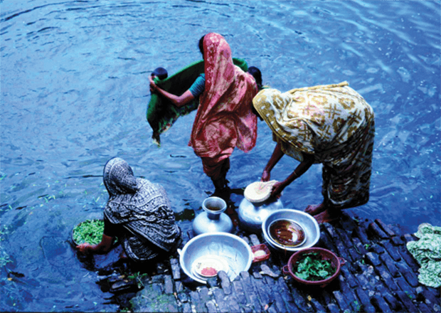 Pond Water