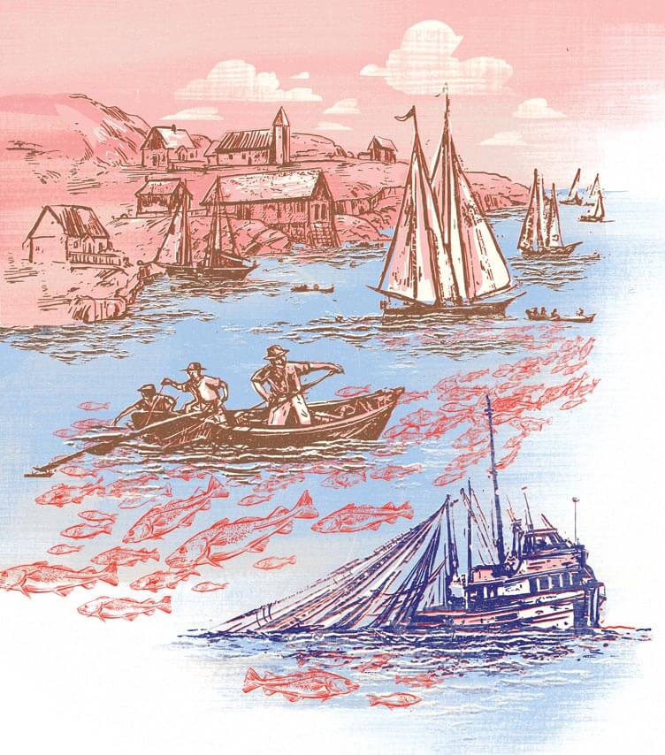 Cod illustration