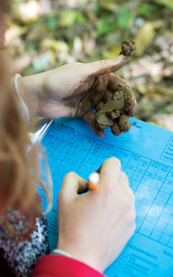 Student Scoring Soil