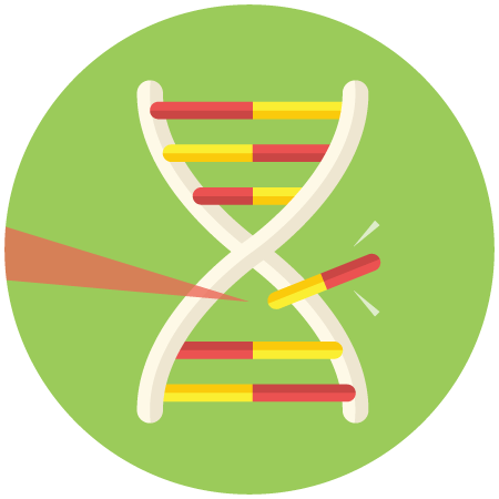 DNA illustration