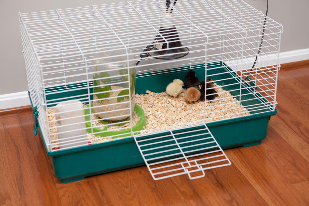 Breeder Cage