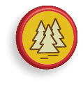 Lumber