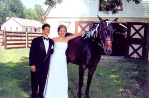 Malkin Wedding