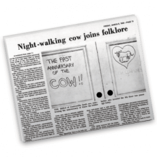 Newspaper