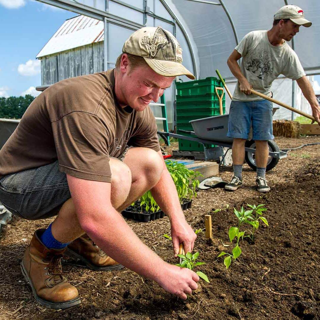 Student working at Terp Farm