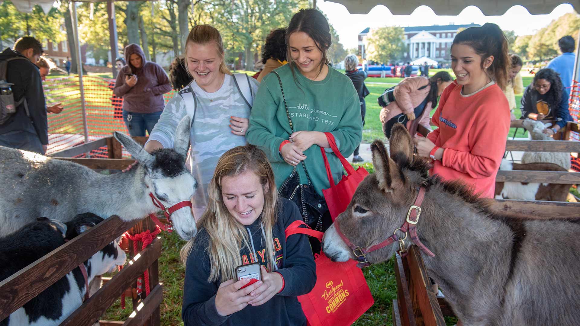 Students take a photo at a petting zoo