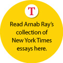 Ray in NYT